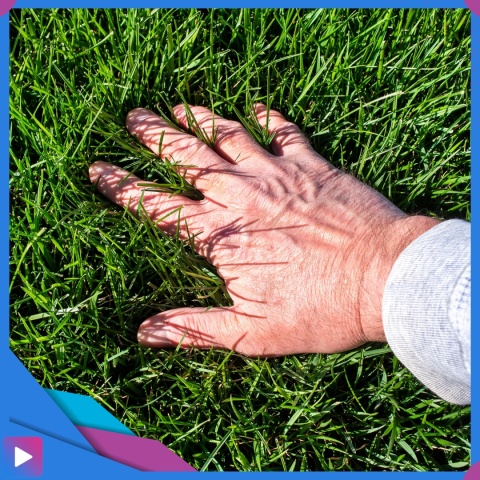 Ręczny Niwelator Terenu Trawnika 90cm Stalowy Do Równania Piaskowania Ogrodowy ASATO®